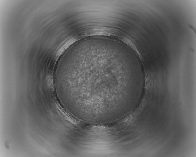 X0000100420882200806131056