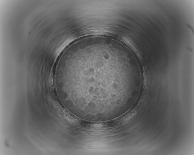 X0000100420883200806131056