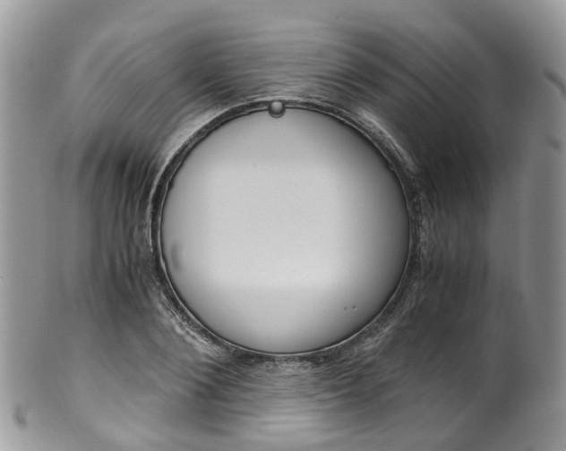 X0000100420884200806131056