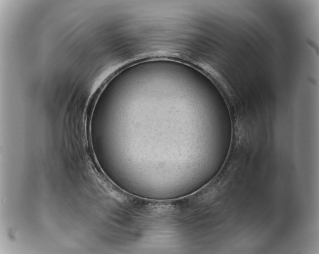 X0000100420886200806131056