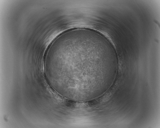 X0000100420887200806131056