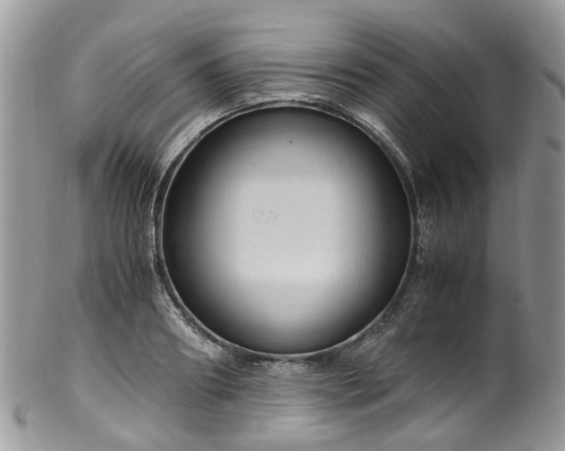 X0000100420890200806131056
