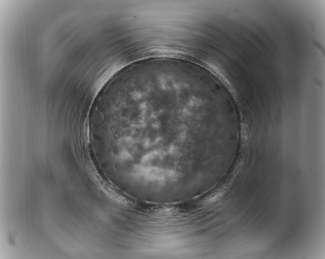 X0000100420891200806131056