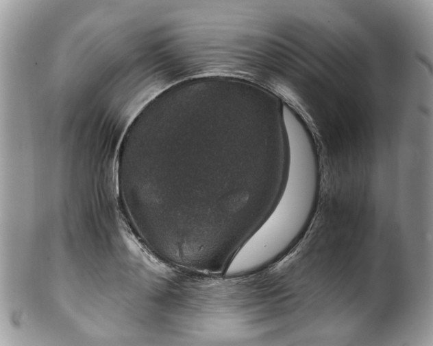 X0000100420892200806131056
