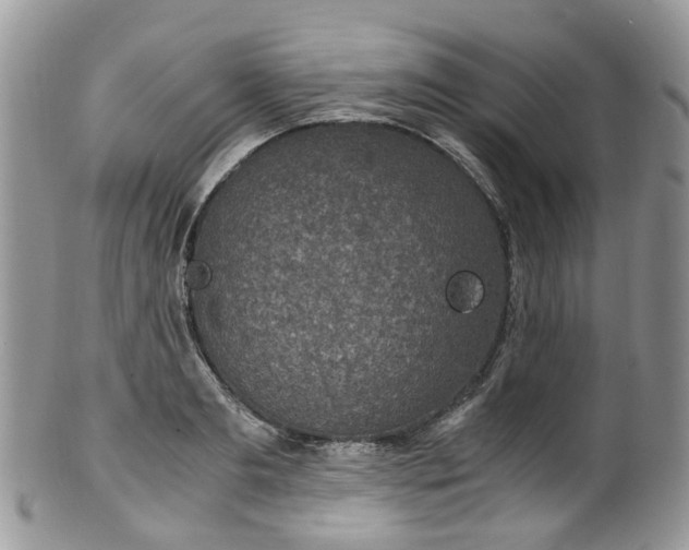 X0000100420893200806131056
