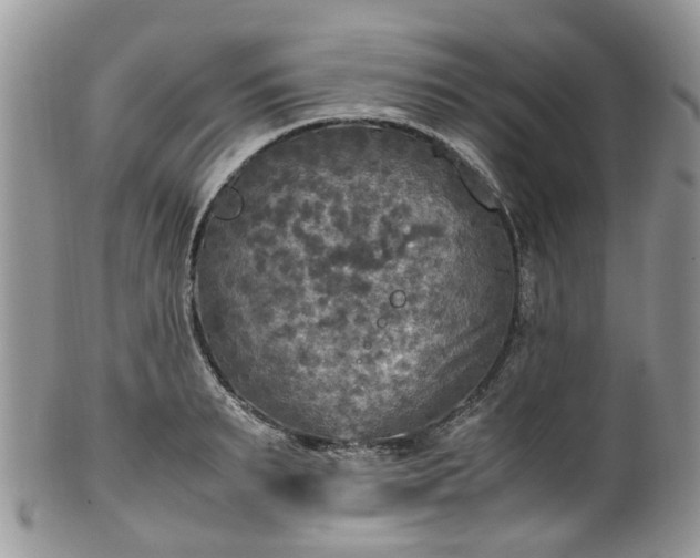 X0000100420895200806131056