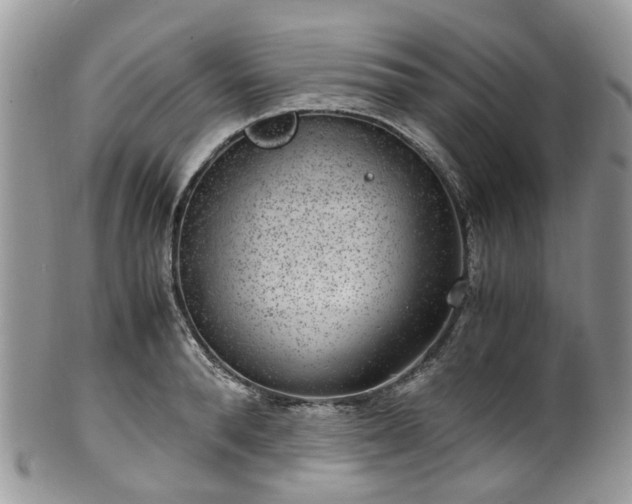 X0000100420896200806131056