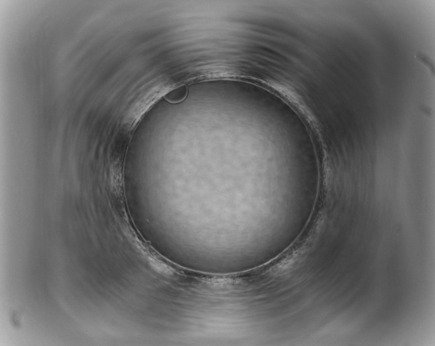 X0000100420897200806131056