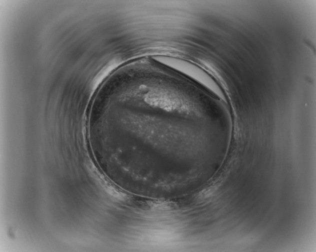 X0000100420899200806131056