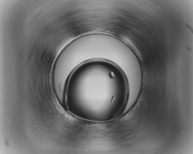X0000100420900200806131056