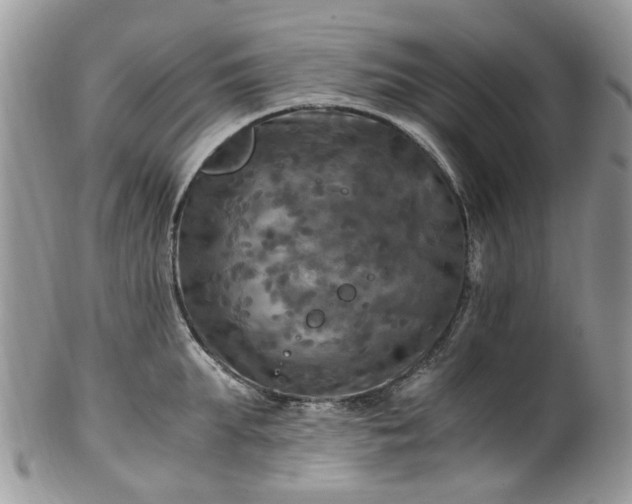 X0000100420903200806131056