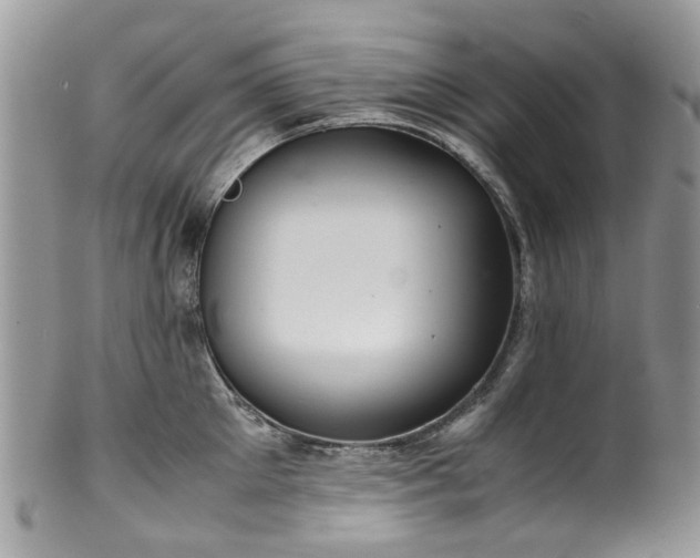 X0000100420905200806131056