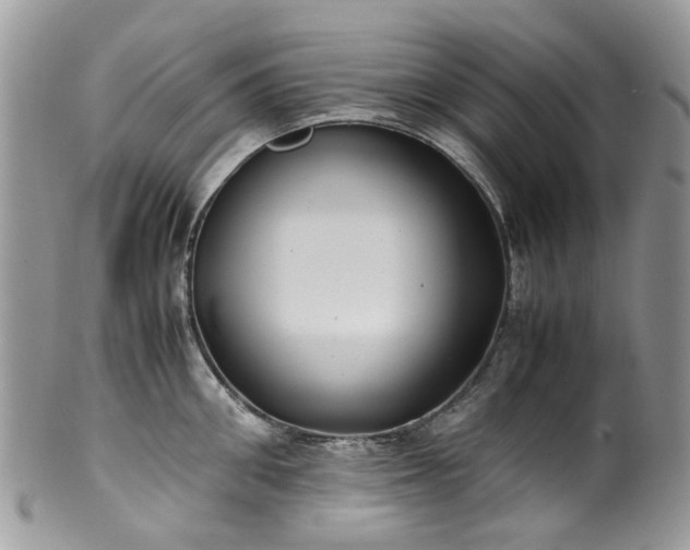 X0000100420906200806131056
