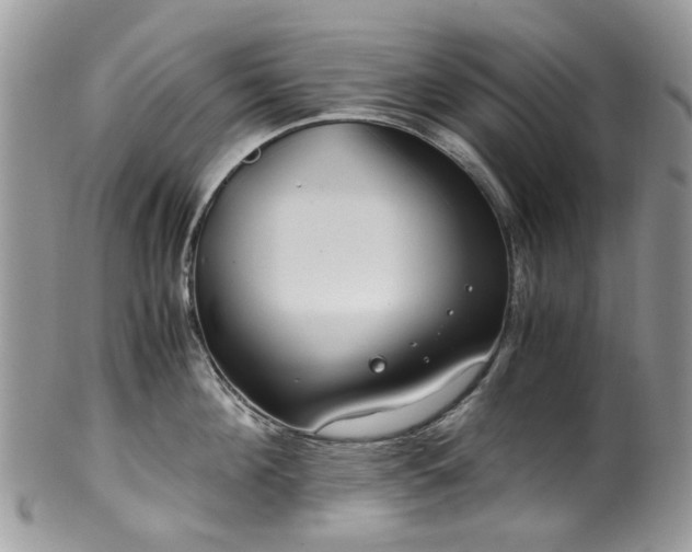 X0000100420908200806131056