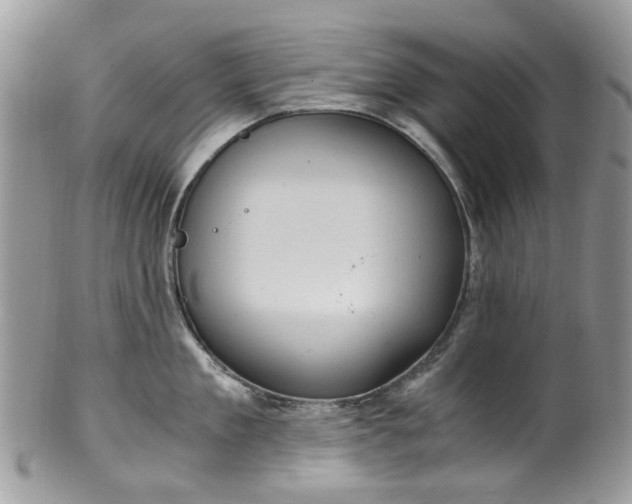 X0000100420909200806131056