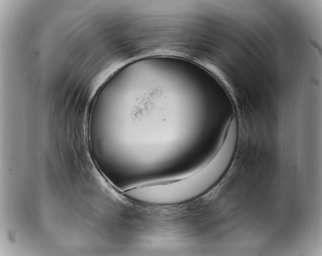 X0000100420910200806131056