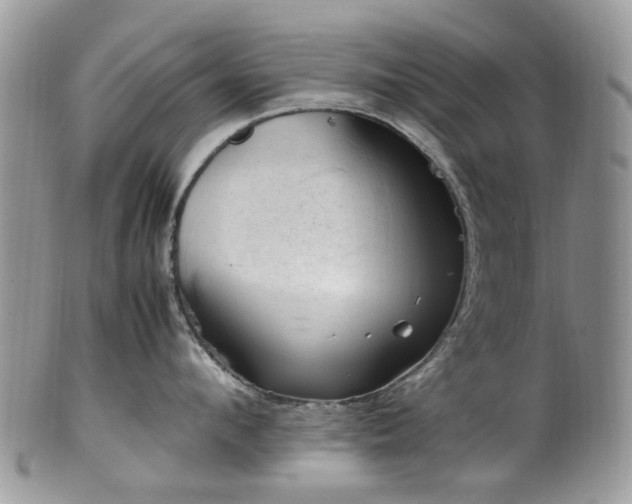 X0000100420912200806131056