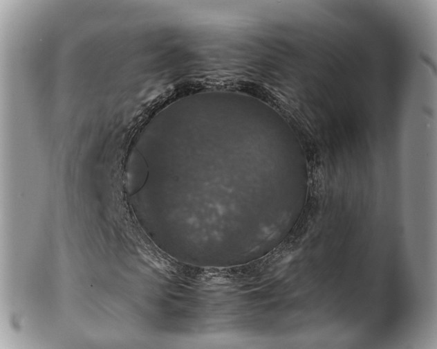 X0000100420913200806131055