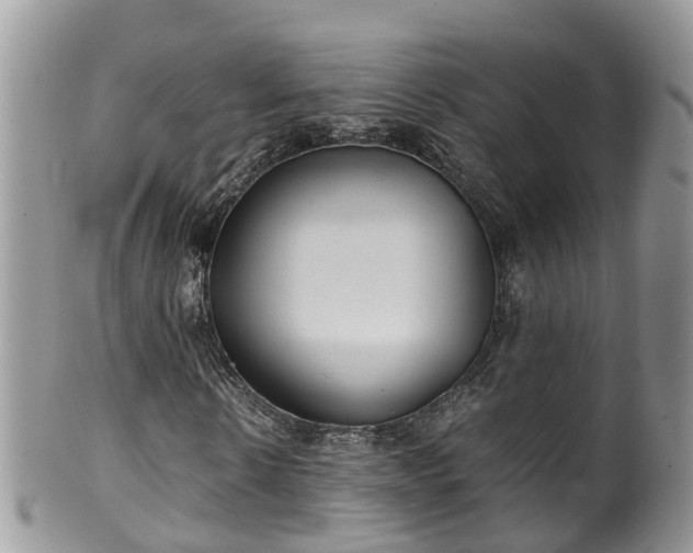 X0000100420914200806131055