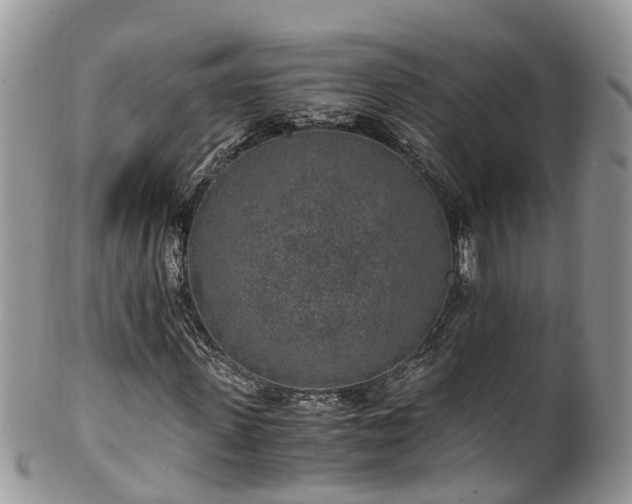 X0000100420915200806131055