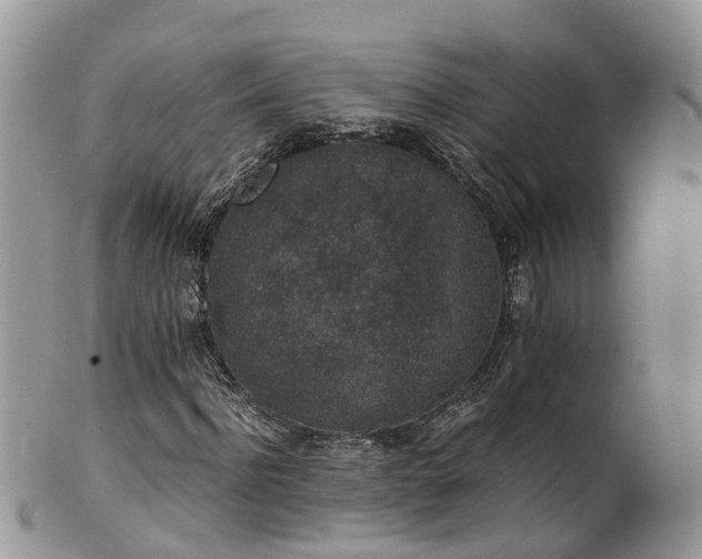 X0000100420916200806131055