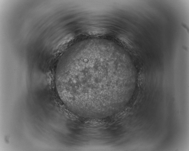 X0000100420917200806131055