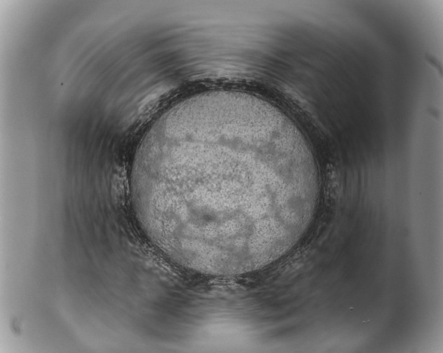X0000100420918200806131055