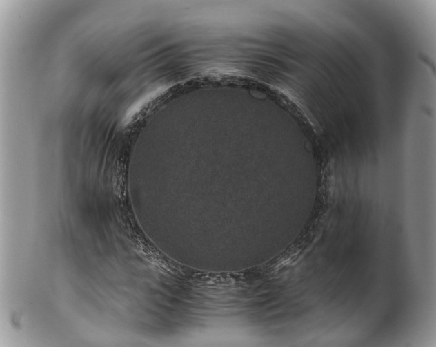 X0000100420919200806131055