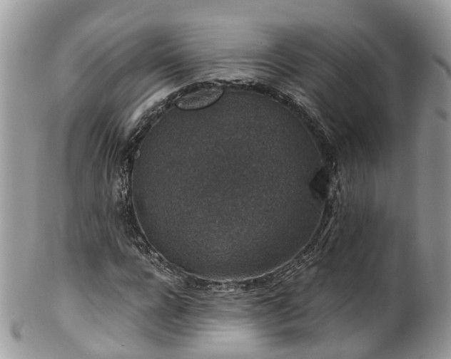 X0000100420920200806131055