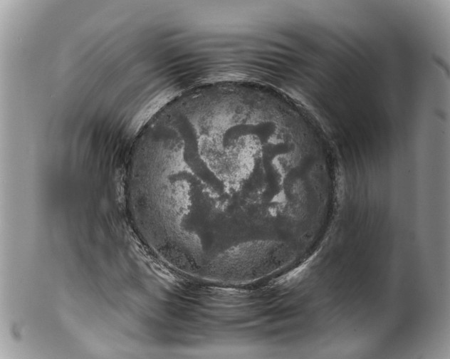 X0000100420921200806131055