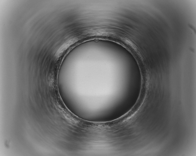 X0000100420922200806131055
