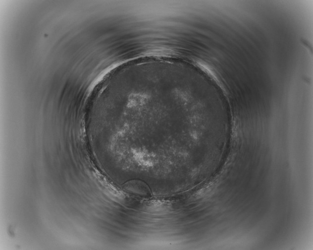 X0000100420923200806131055