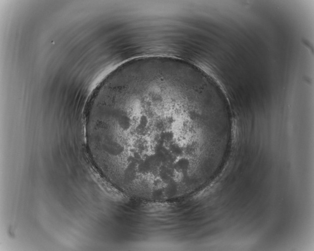 X0000100420925200806131055