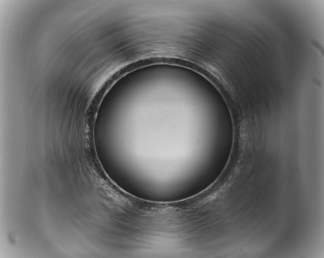 X0000100420926200806131055