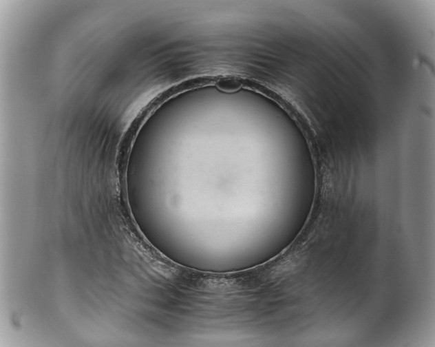 X0000100420927200806131055