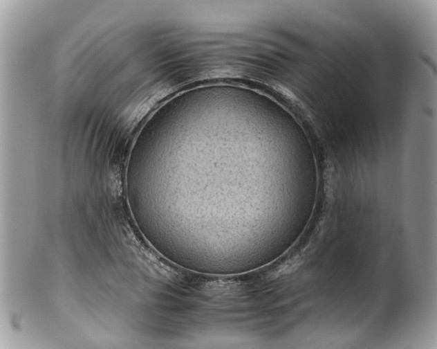 X0000100420929200806131055