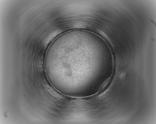 X0000100420930200806131055