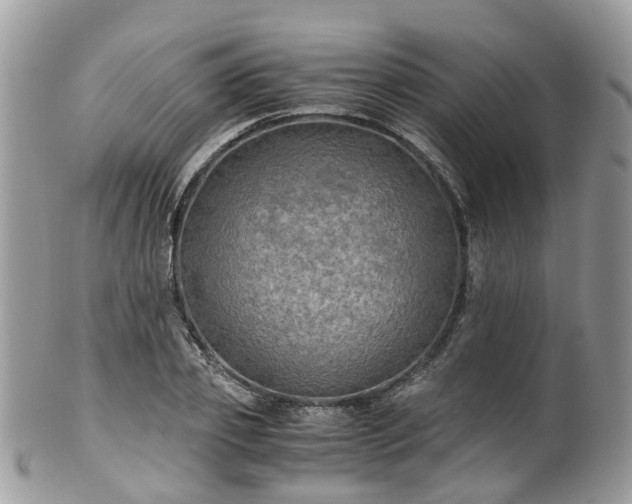 X0000100420933200806131055