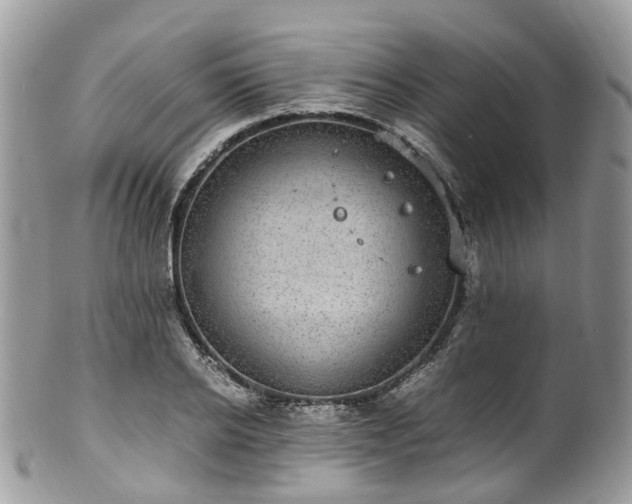 X0000100420934200806131055