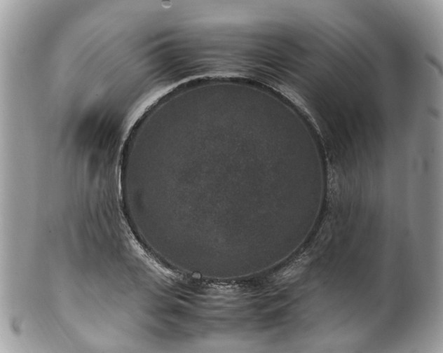 X0000100420935200806131055