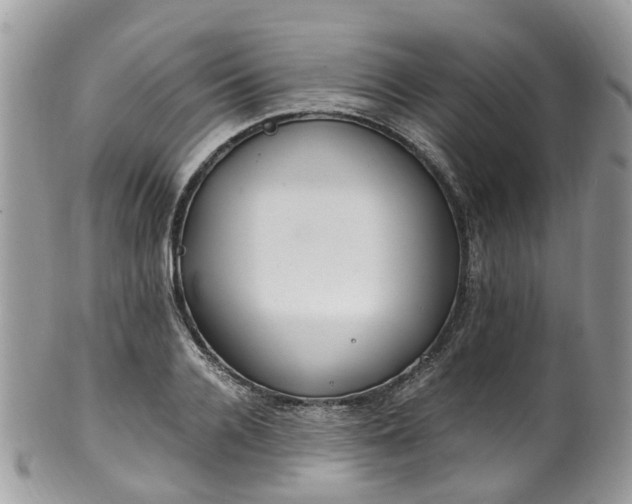 X0000100420936200806131055