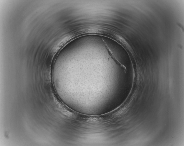 X0000100420938200806131055