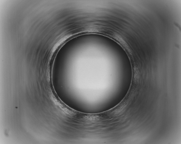 X0000100420939200806131055