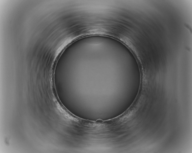 X0000100420941200806131055
