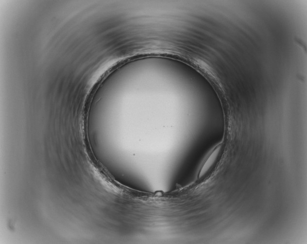 X0000100420942200806131055