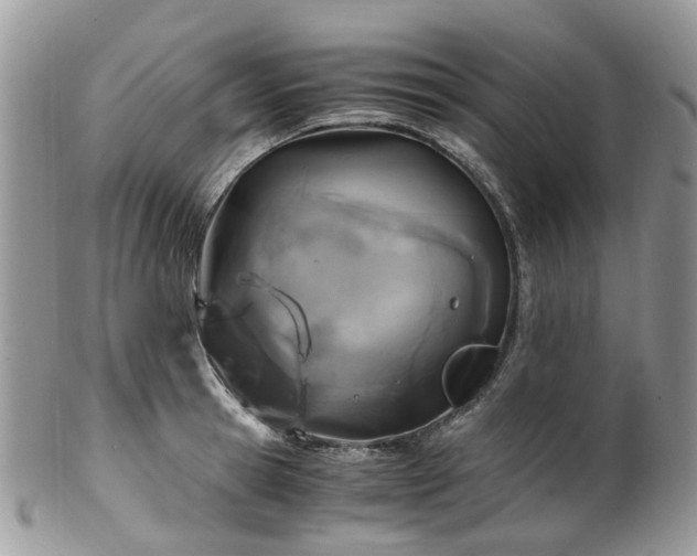 X0000100420945200806131055