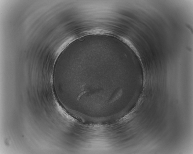 X0000100420946200806131055