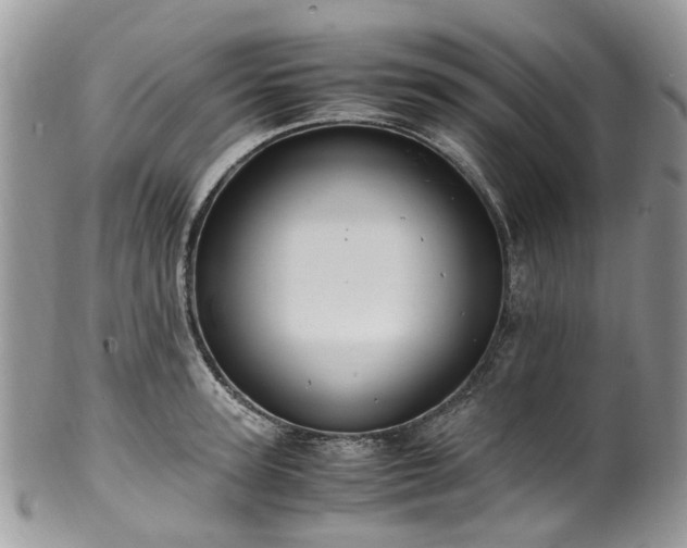 X0000100420947200806131055