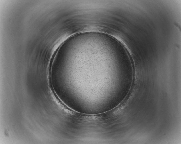 X0000100420949200806131056