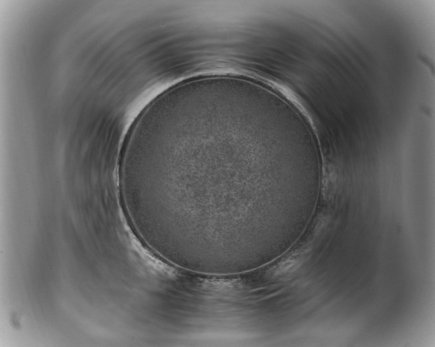 X0000100420951200806131056